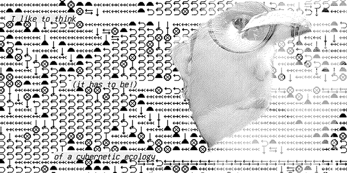 A glitched-out bird overlaid on a choatic field of plain text arrows and symbols. Scattered phrases such as 'of a cybernetic ecology' emerge from the background.