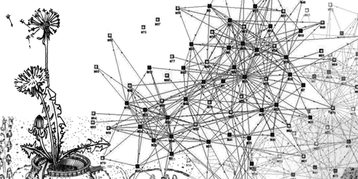 A poofy dandelion floats over a dense network graph.