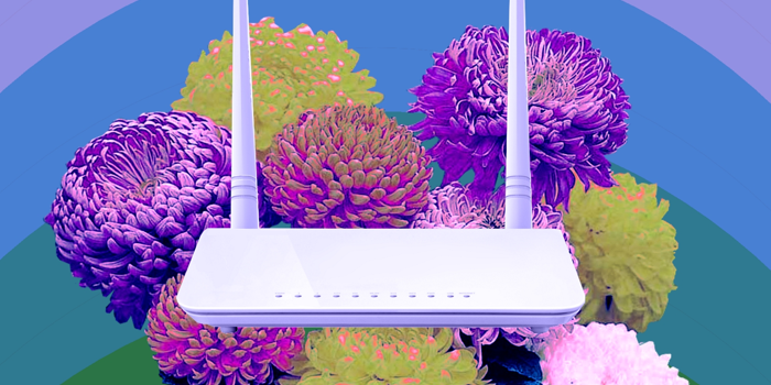 A collage of a router sitting on a bed of peonies.